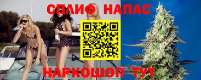 кокс Дубна